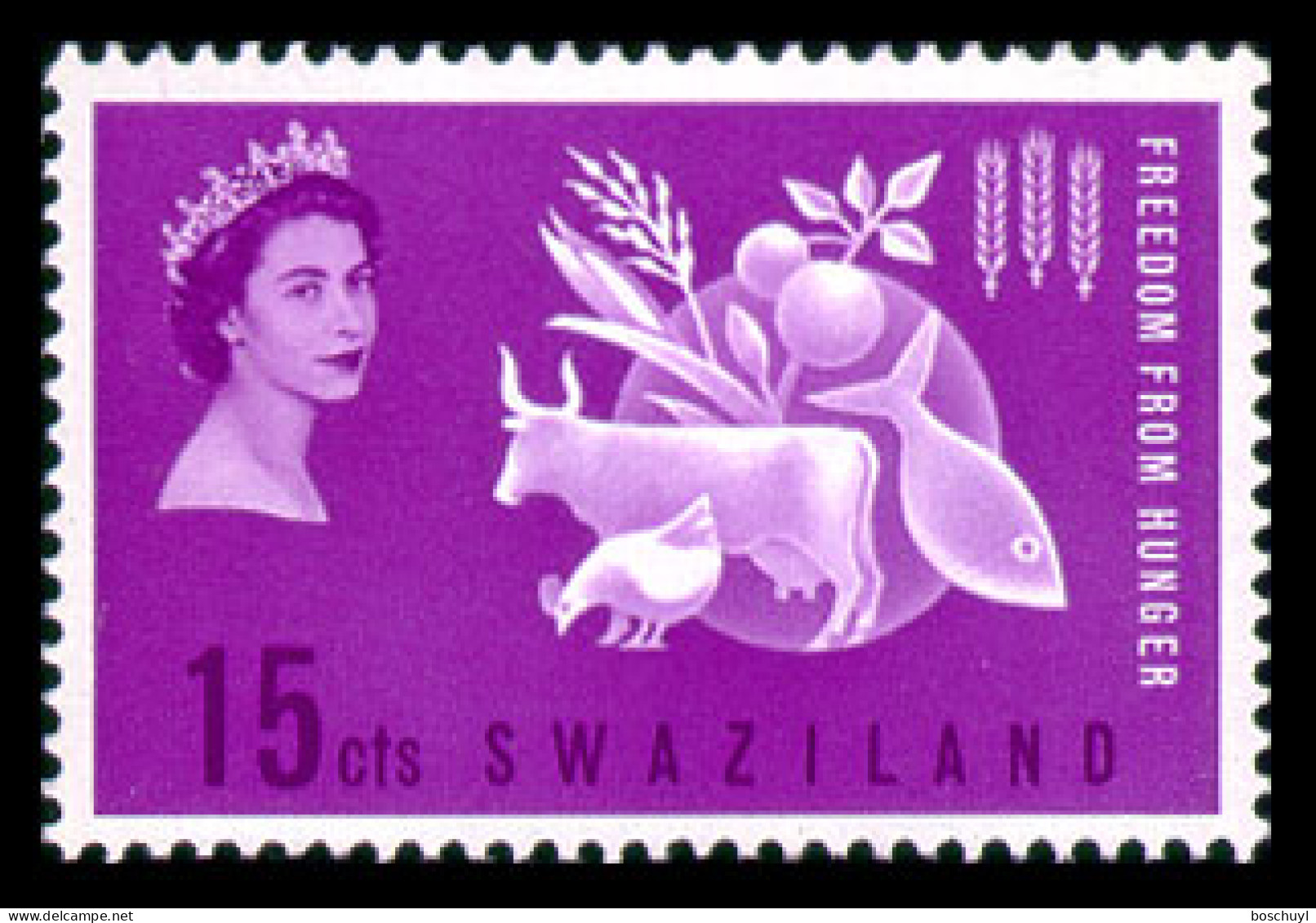 Swaziland, 1963, Freedom From Hunger, FAO, United Nations, MNH, Michel 183 - Swasiland (...-1967)