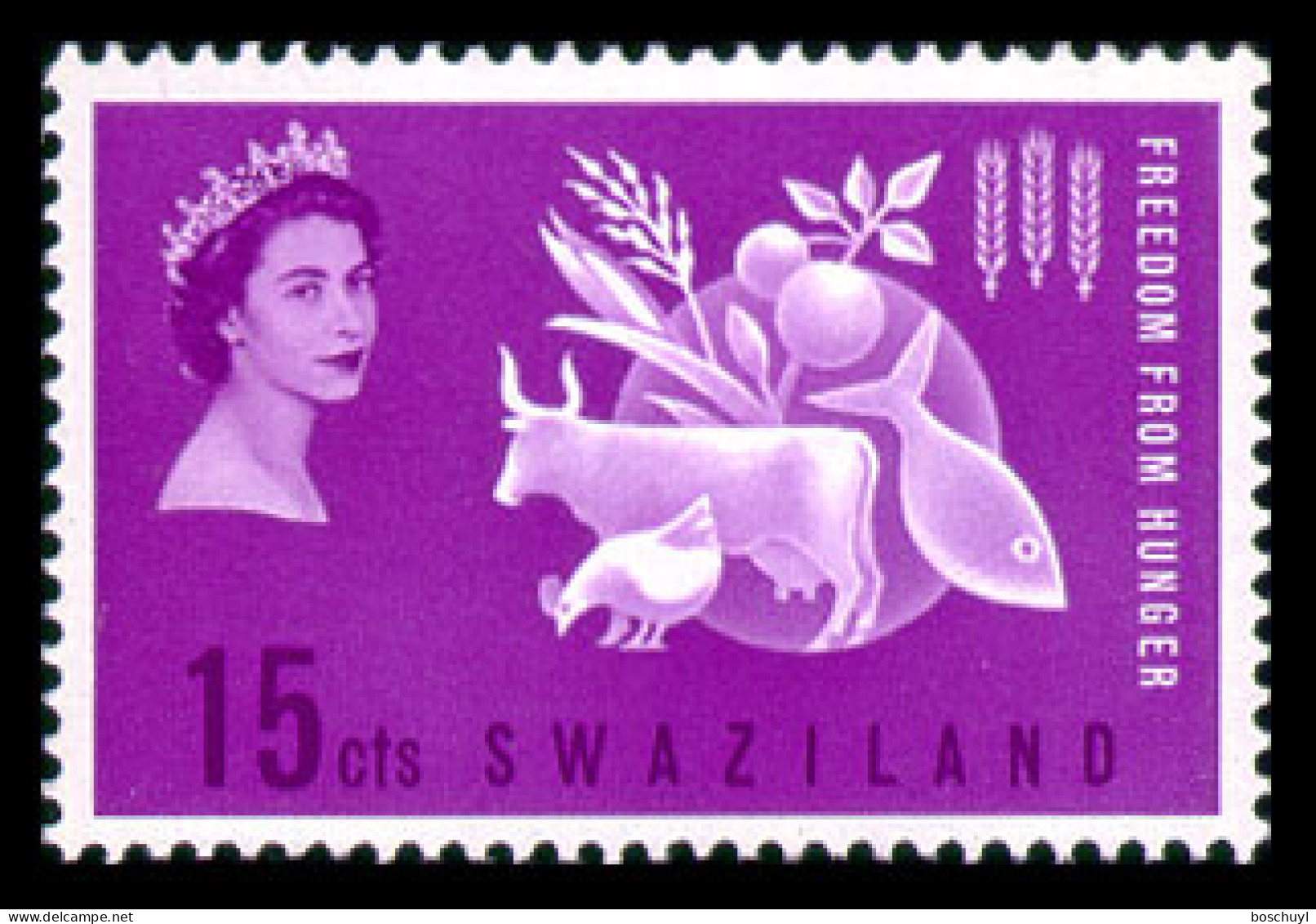 Swaziland, 1963, Freedom From Hunger, FAO, United Nations, MNH, Michel 183 - Swaziland (...-1967)