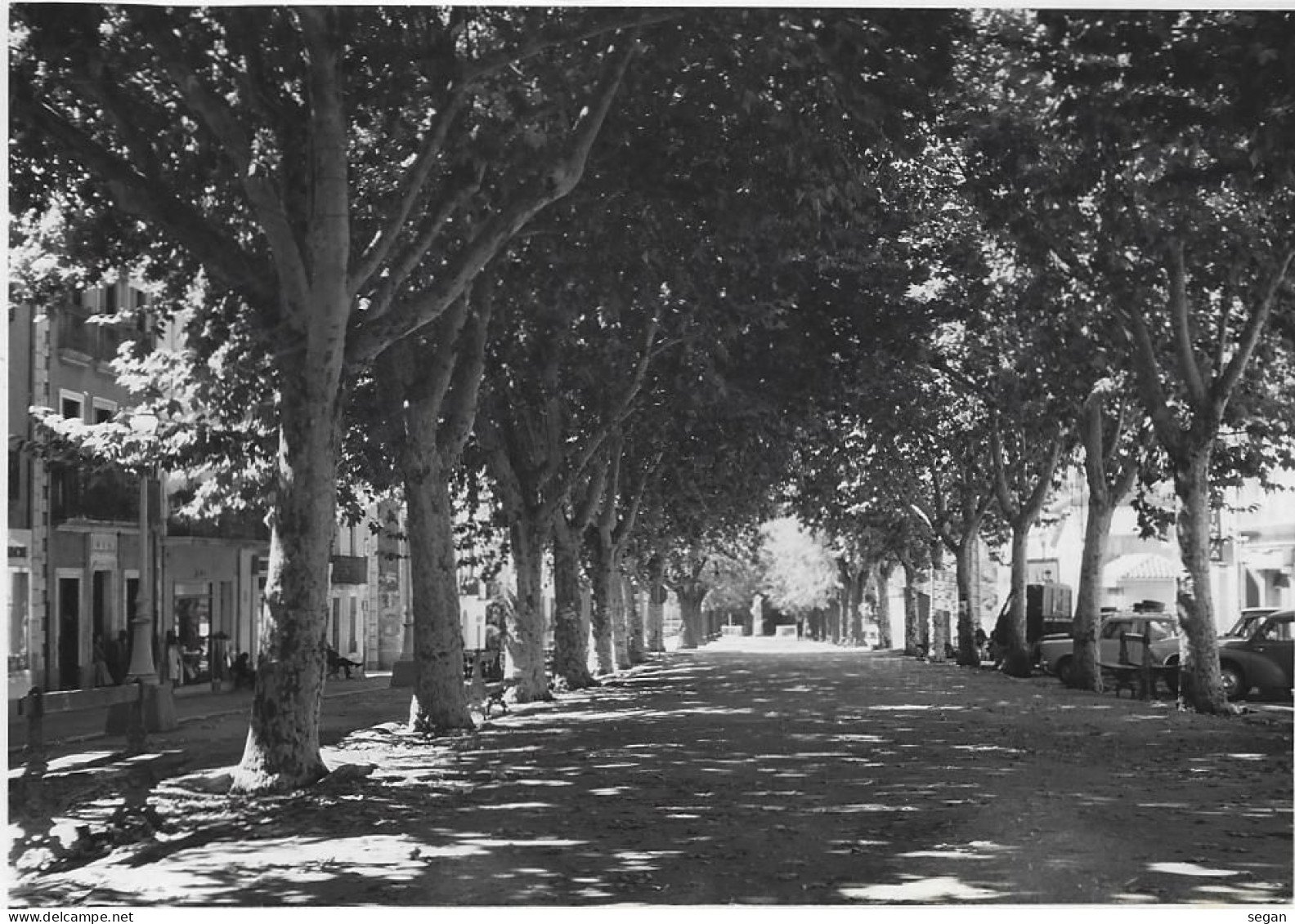 MONTAGNAC  L'ESPLANADE  ANNEE 1958 - Montagnac