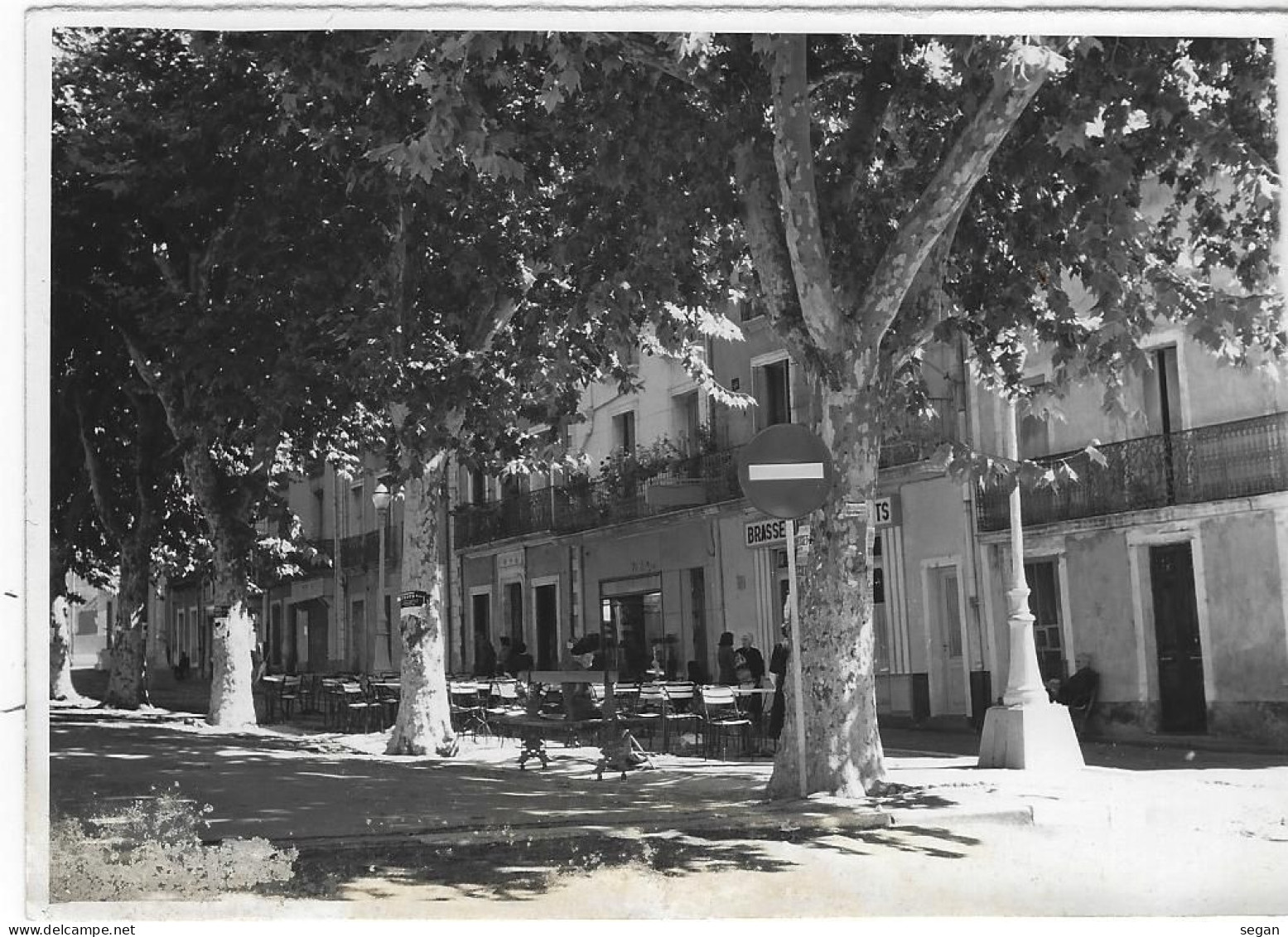 MONTAGNAC  L'ESPLANADE  ANNEE 1958 - Montagnac