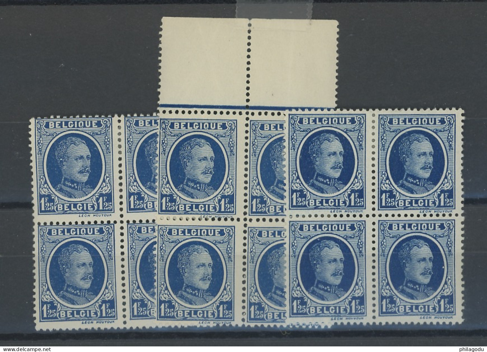 206  1F25  **/*.  Nuances Couleurs  Kleuren Farben    Cote  -€  ?  Un Bloc ** - 1922-1927 Houyoux