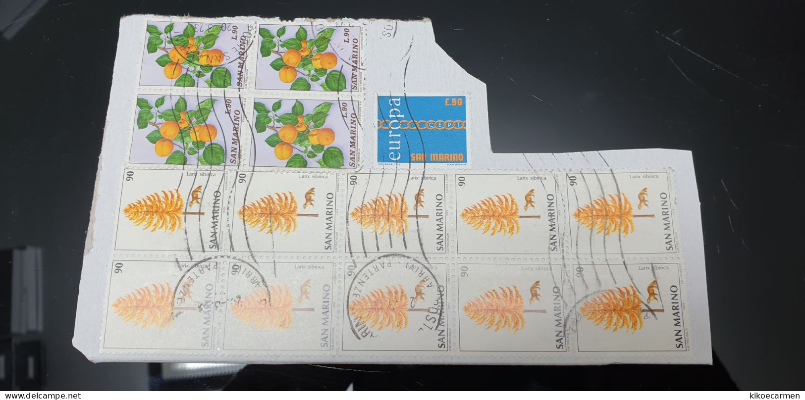 1979 Alberi Albero LARIX Frutta Quartina Usata Blocco Rsm SAN MARINO USATO USED Usati - Used Stamps