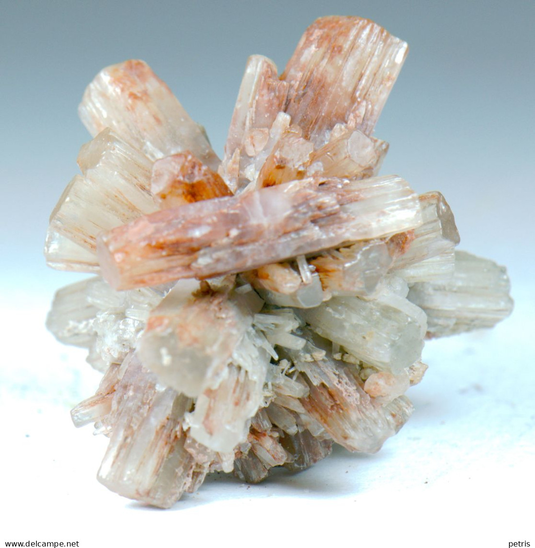 Mineral - Aragonite (Molina De Aragon, Spagna) - Lot. 1027 - Minéraux