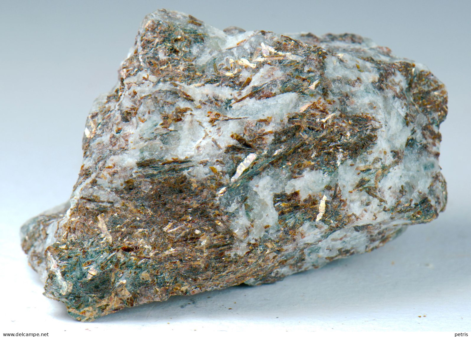 Mineral - Astrofillite (Penisola Di Kola, Russia) - Lot. 1036 - Minéraux