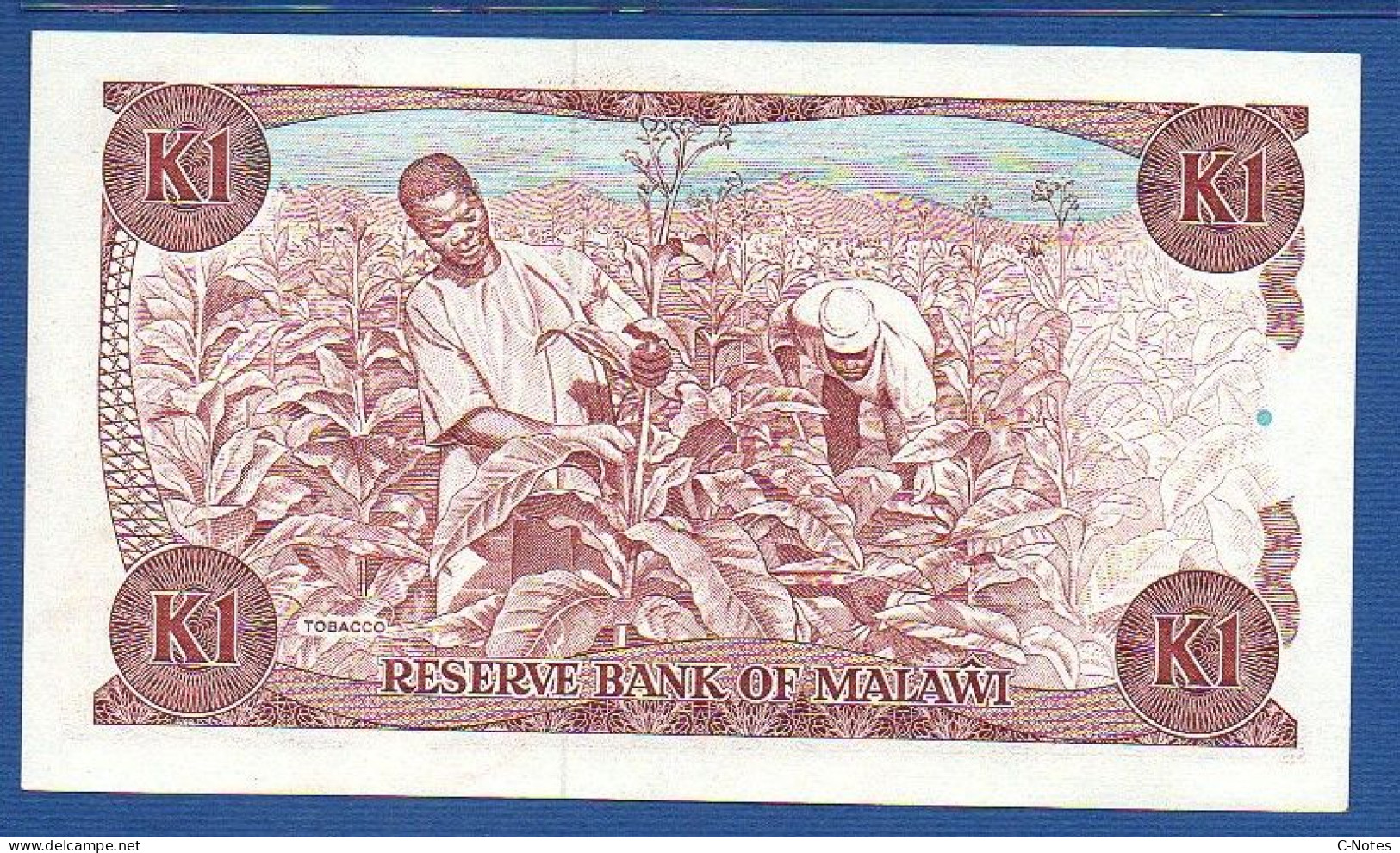 MALAWI - P.19b – 1 Kwacha 01.04.1988 UNC, S/n G/41 016899 - Malawi