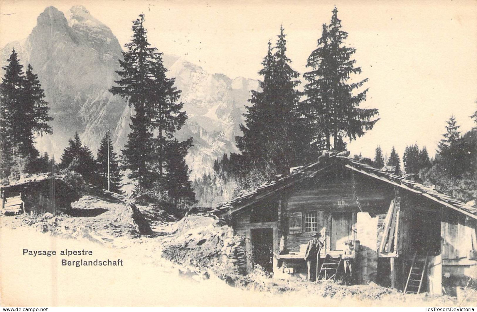 SUISSE - Berglandschaft - Paysage Alpestre - Carte Postale Ancienne - Berg