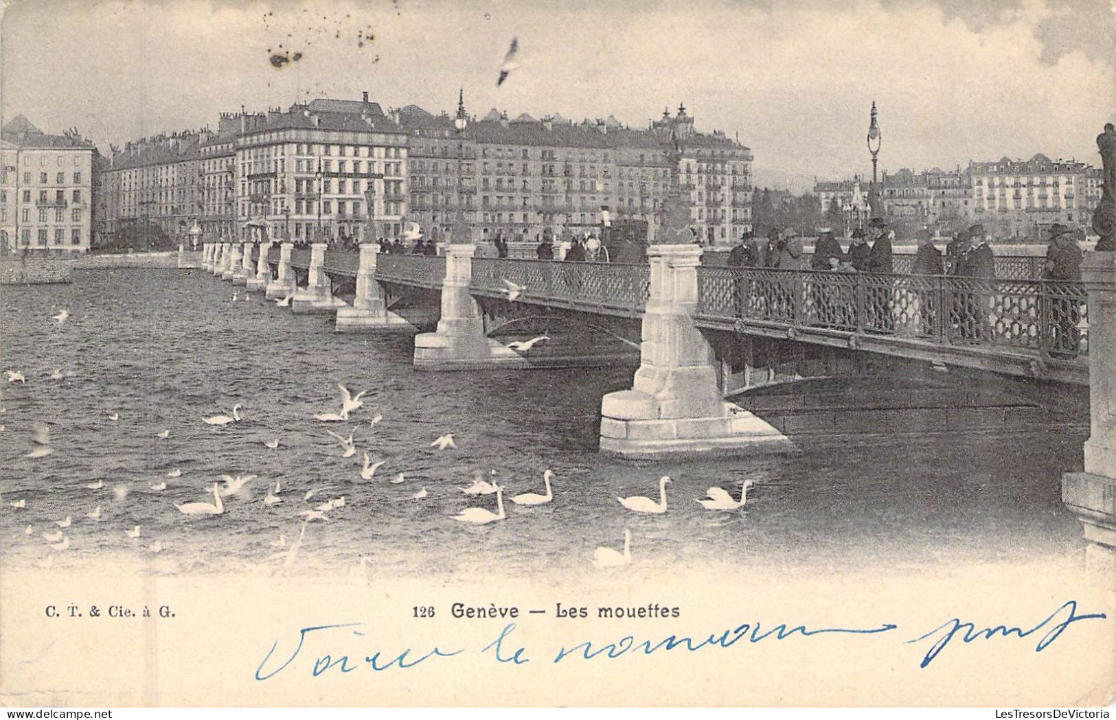 SUISSE - GENEVE - Les Mouettes - Carte Postale Ancienne - Genève