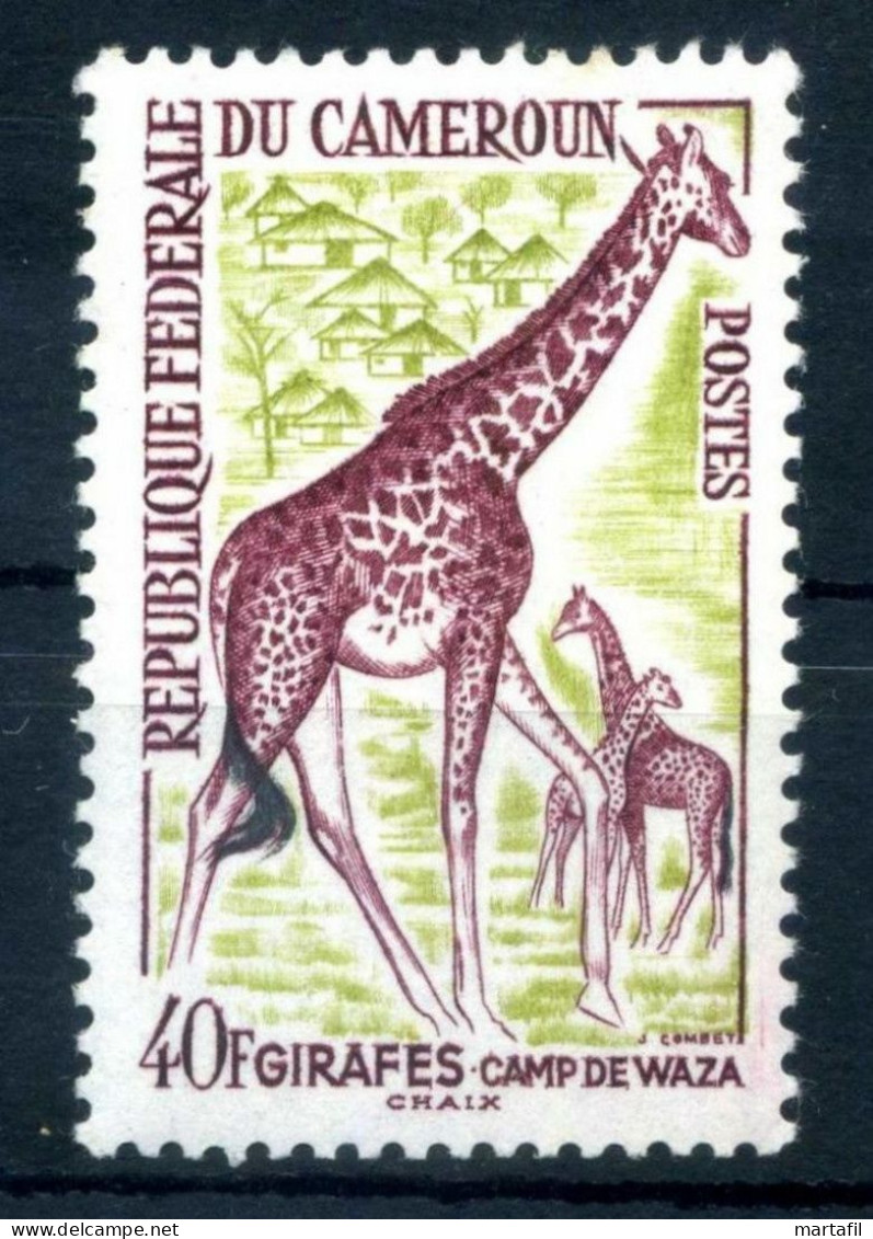 1962-64 CAMEROUN N.353 MNH ** Giraffe Girafes - Giraffes