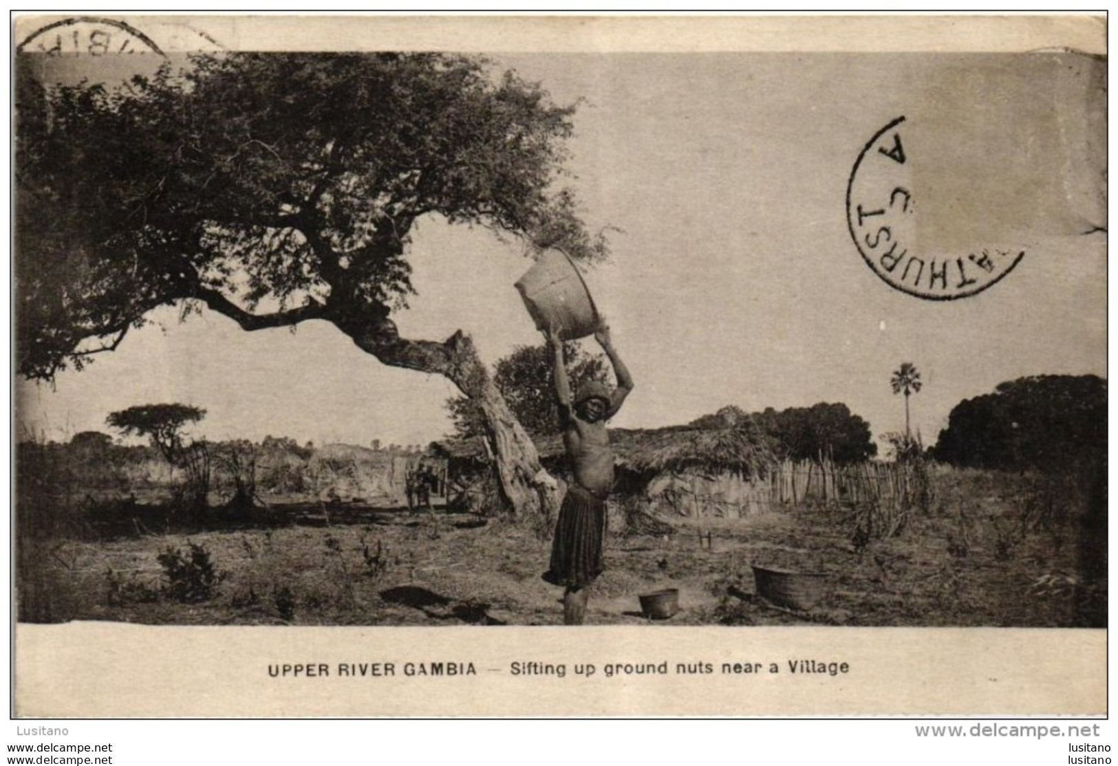 Upper River Gambia - Sifting Up Ground Nuts Near A Village 1921 - Gambie