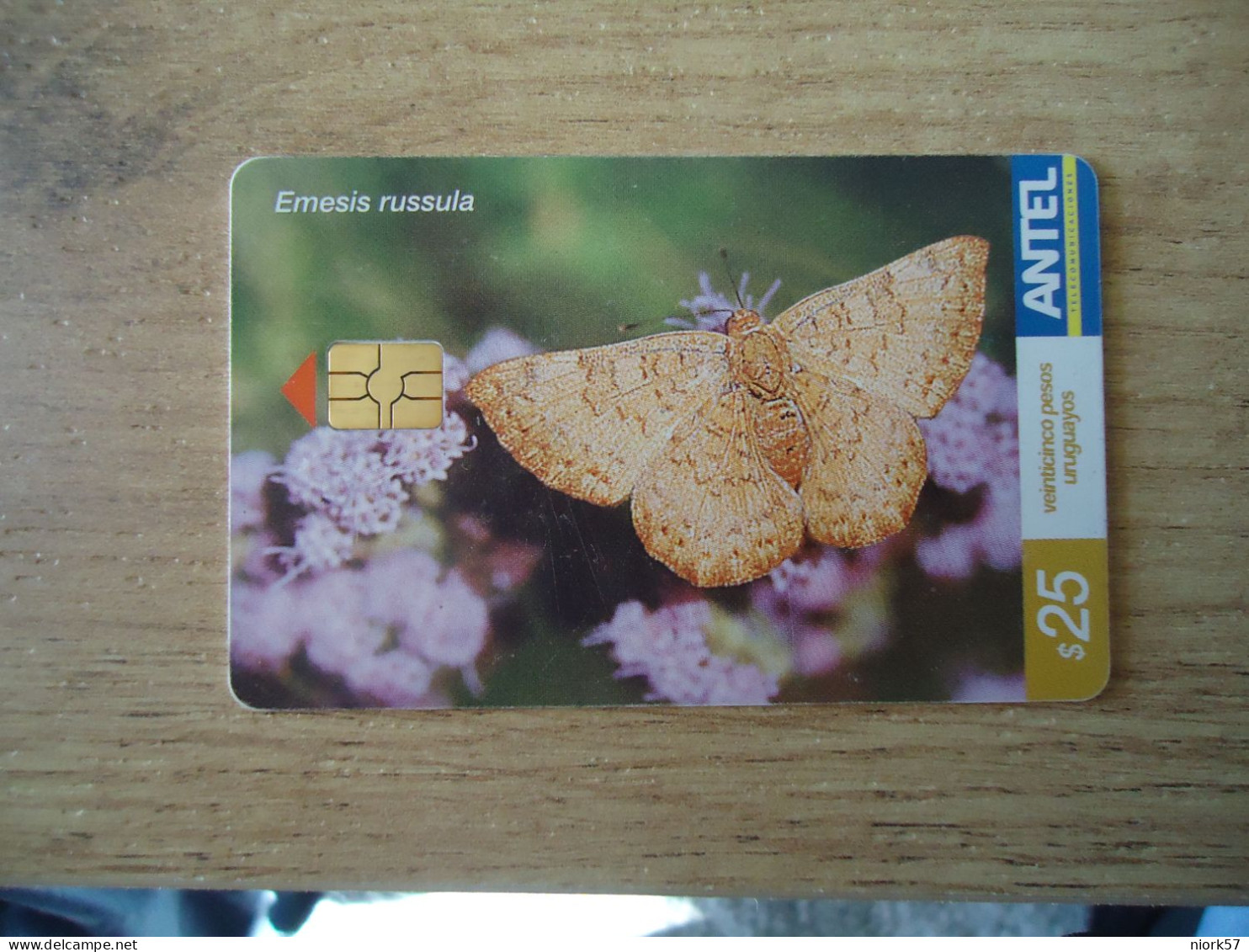 URUGUAY  USED CARDS  BUTTERFLIES  25 - Papillons