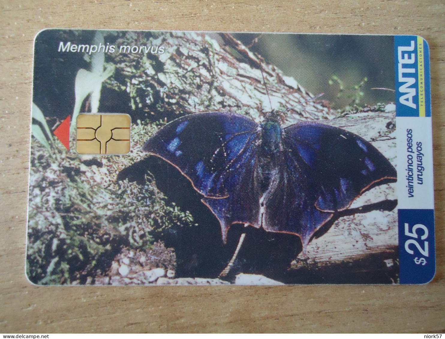 URUGUAY  USED CARDS  BUTTERFLIES  25 - Mariposas