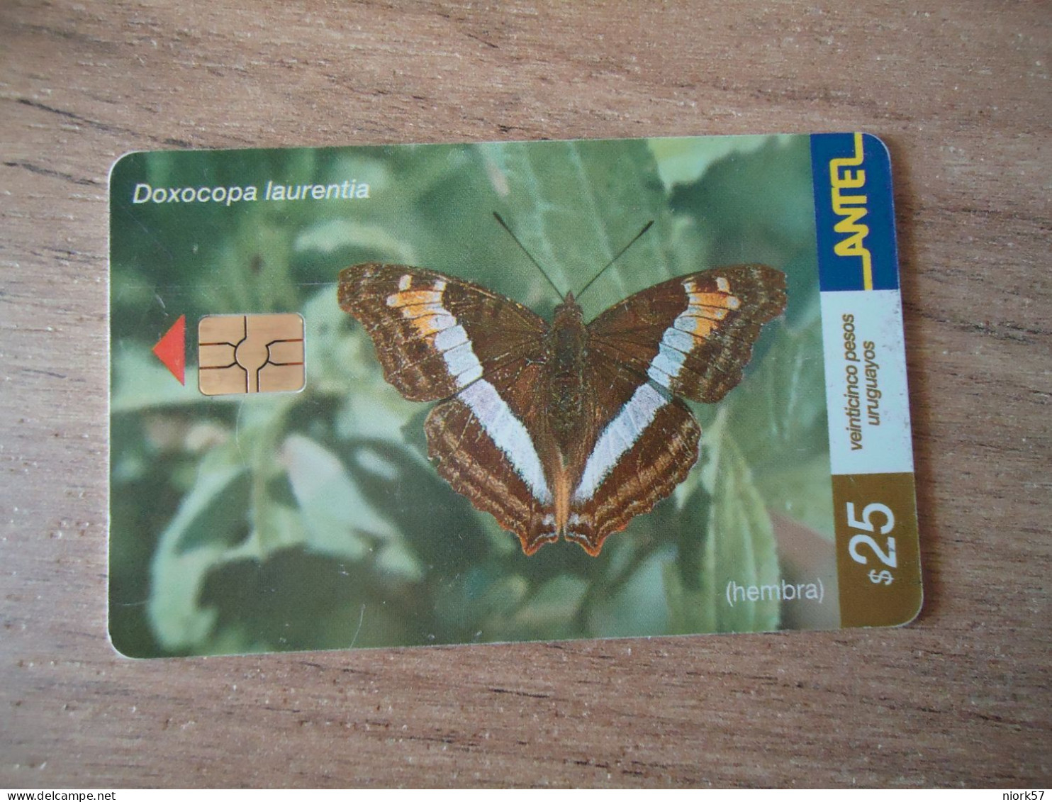 URUGUAY  USED CARDS  BUTTERFLIES  25 - Papillons