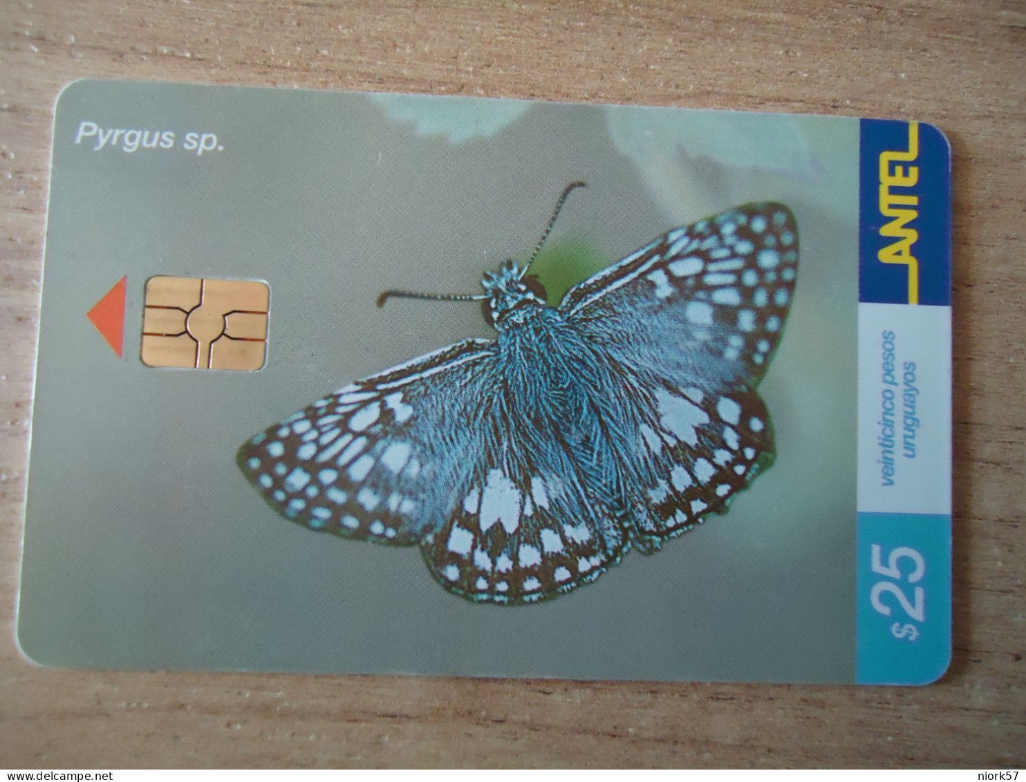 URUGUAY  USED CARDS  BUTTERFLIES  25 - Mariposas