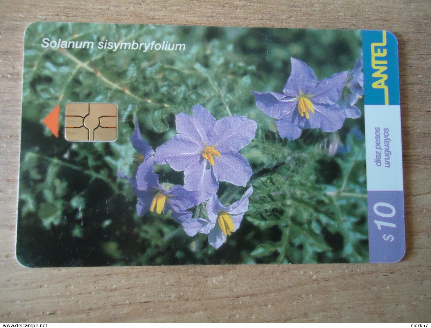 URUGUAY  USED CARDS  PLANTS FLOWERS - Flores