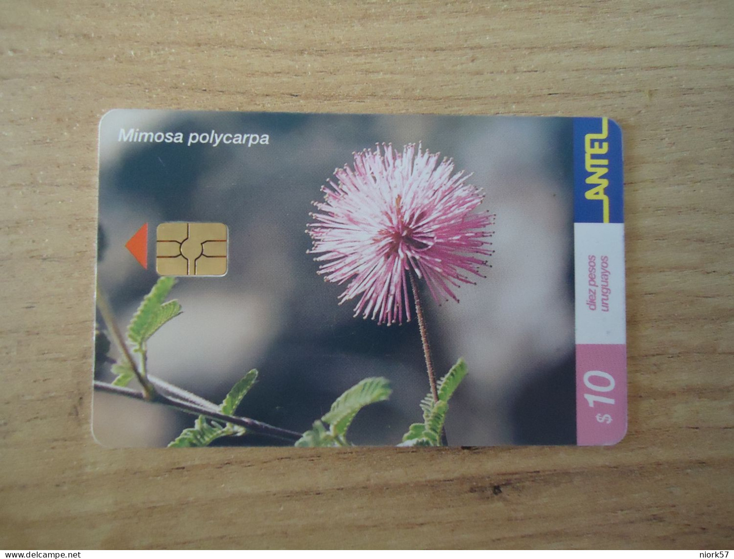 URUGUAY  USED CARDS  PLANTS FLOWERS - Flores