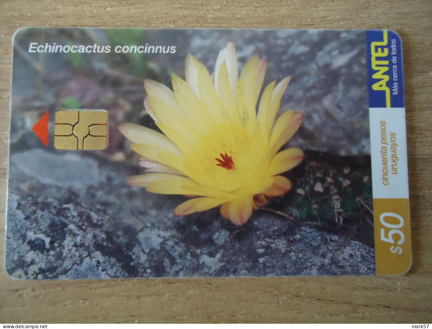 URUGUAY  USED CARDS  PLANTS FLOWERS $  50 - Flores