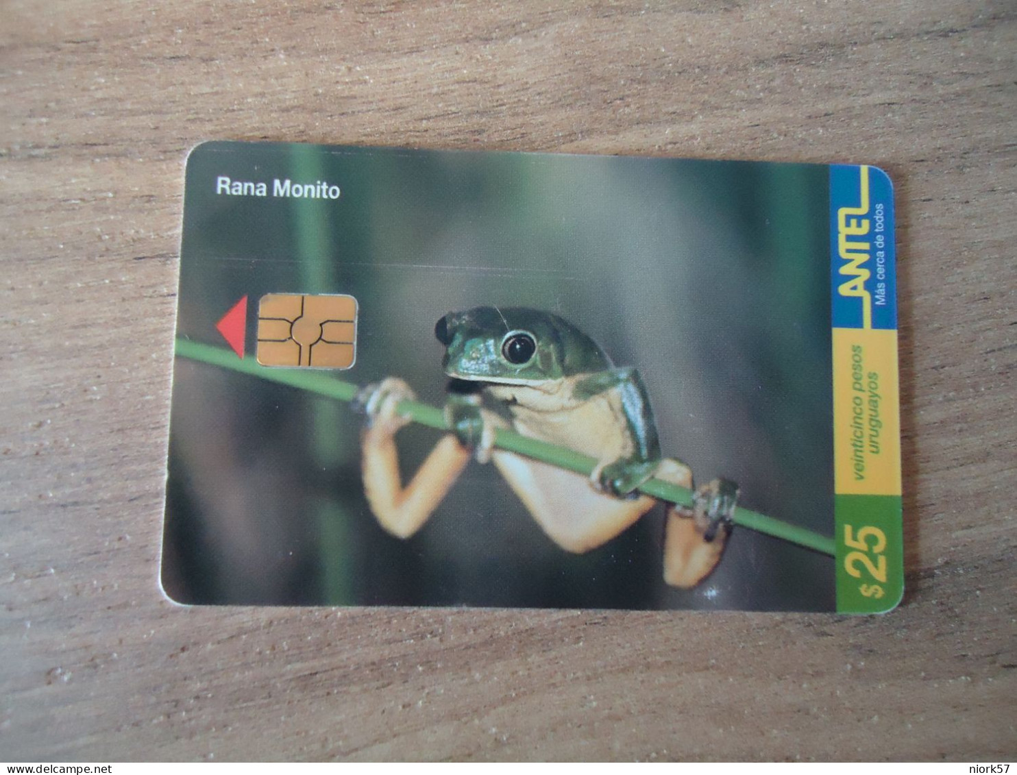 URUGUAY  USED CARDS  FROG FROGS - Tortugas