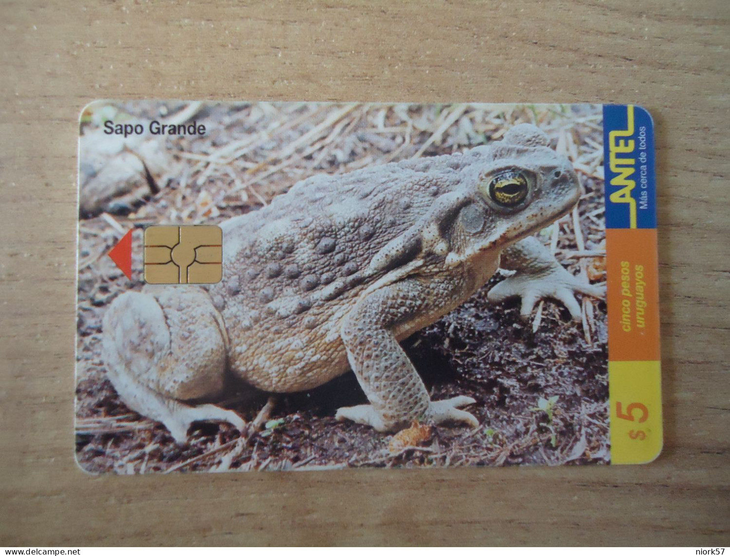 URUGUAY  USED CARDS  FROG FROGS - Turtles