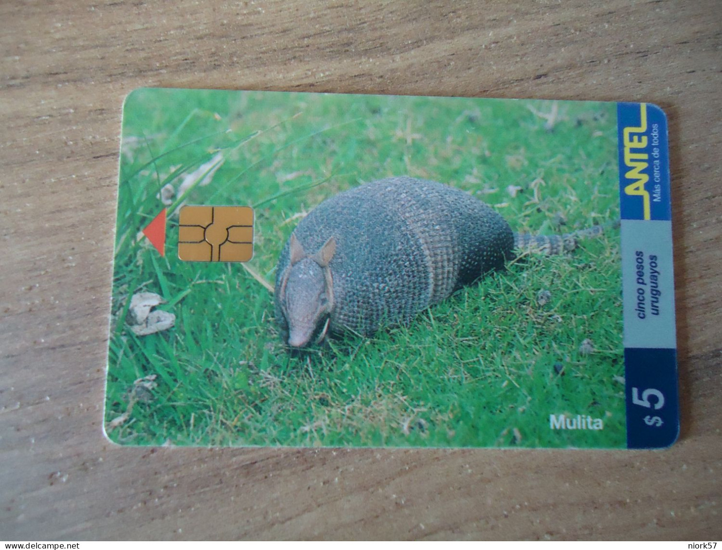 URUGUAY   USED CARDS  ANIMALS - Uruguay