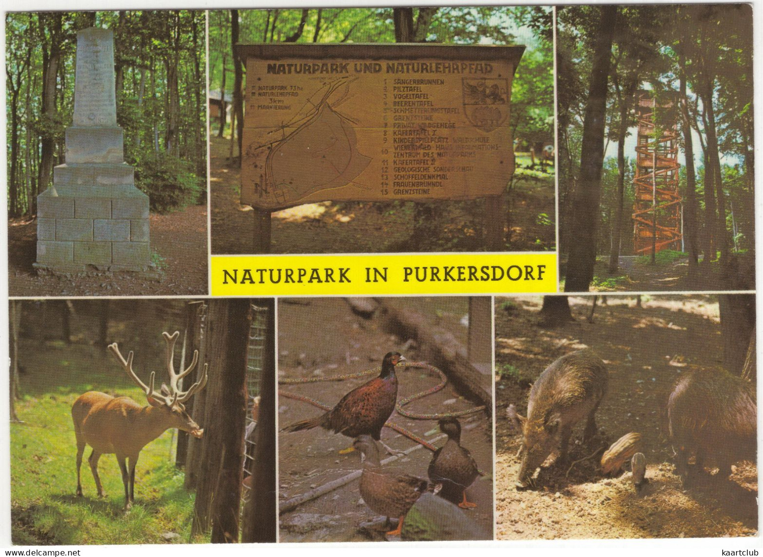 Naturpark In Purkersdorf 'Sandstein-Wienerwald' - (NÖ, Austria) - St. Pölten