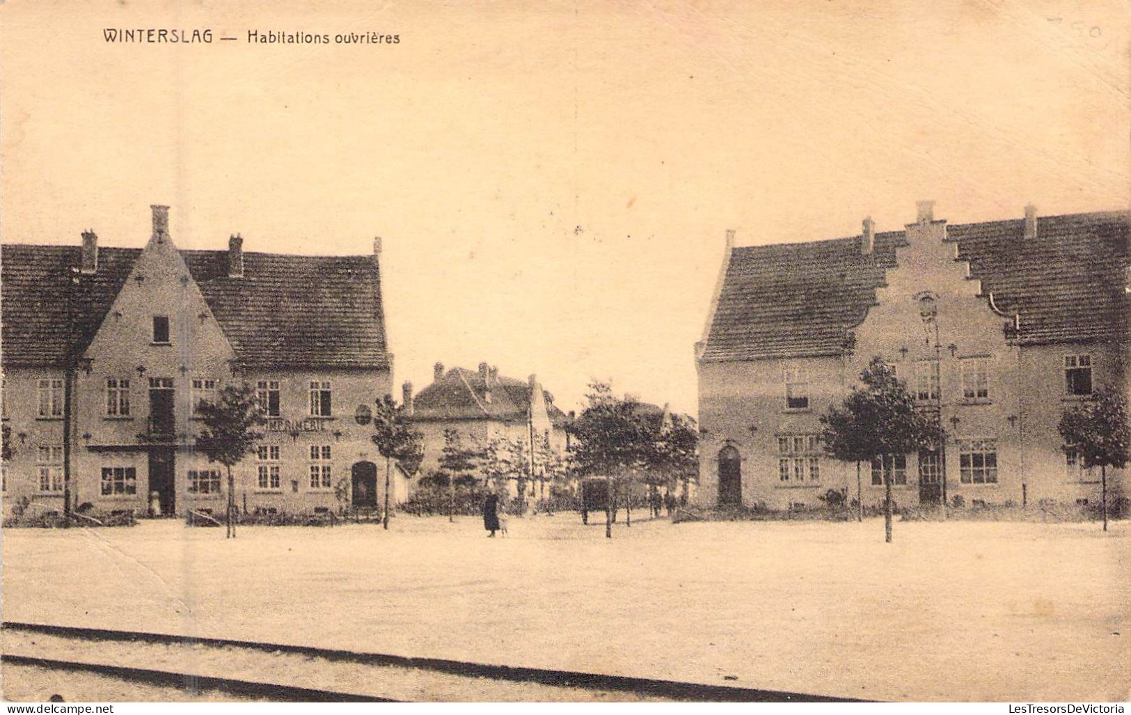 BELGIQUE - WINTERSLAG - Habitations Ouvrières  - Carte Postale Ancienne - Andere & Zonder Classificatie