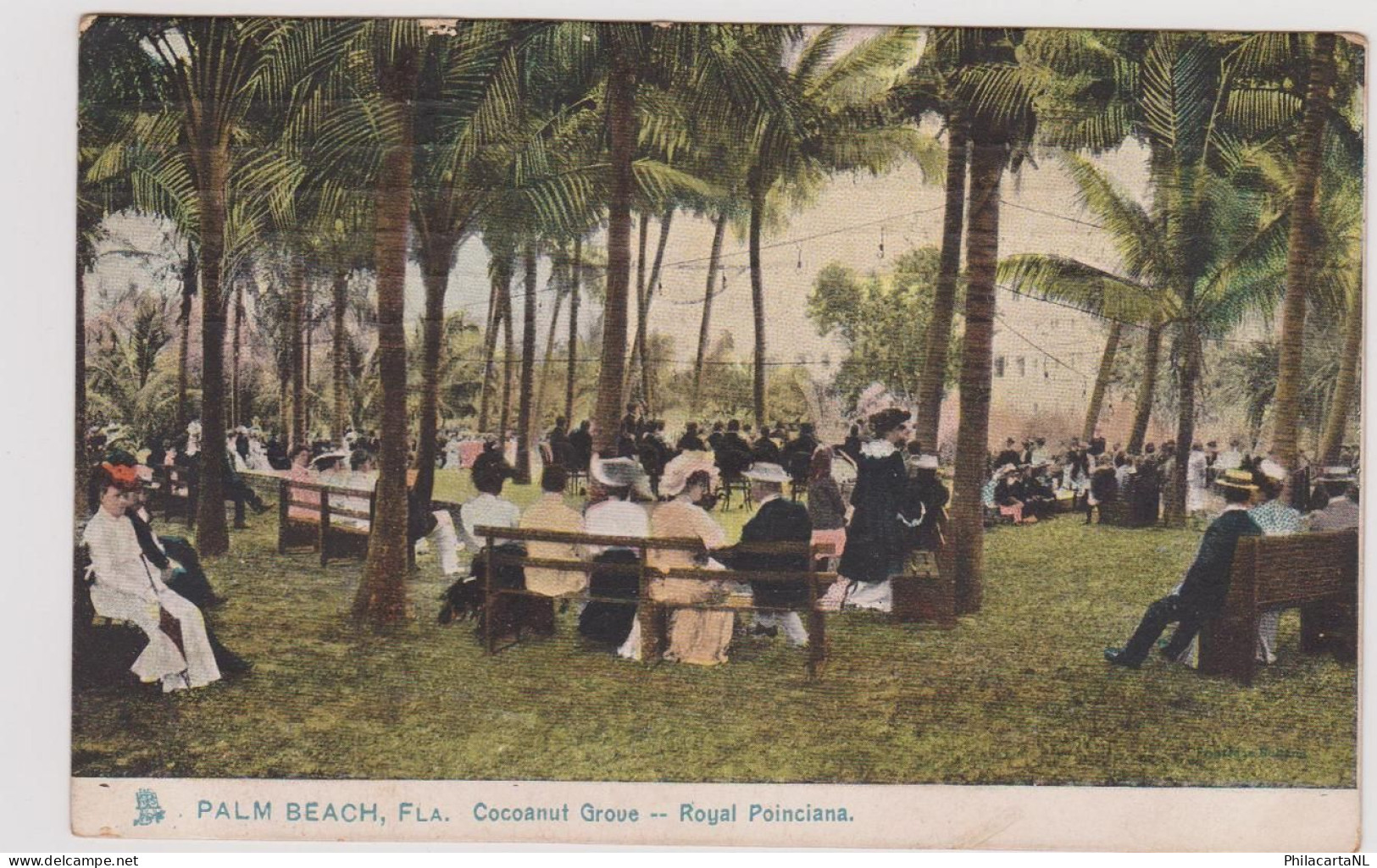 USA Palm Beach - Cocoanut Grove - 1908 - Palm Beach