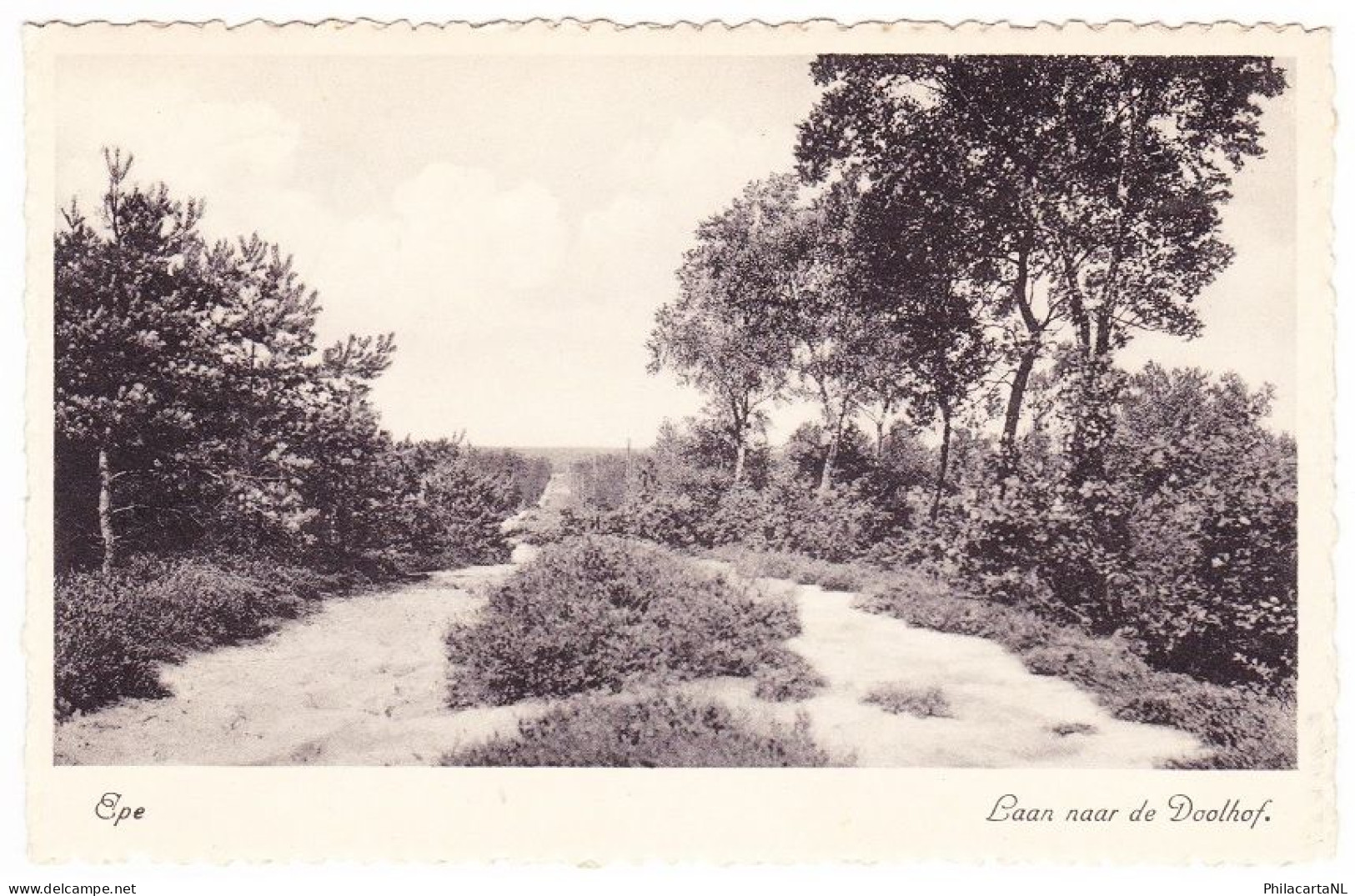 Epe - Laan Naar De Doolhof - Epe