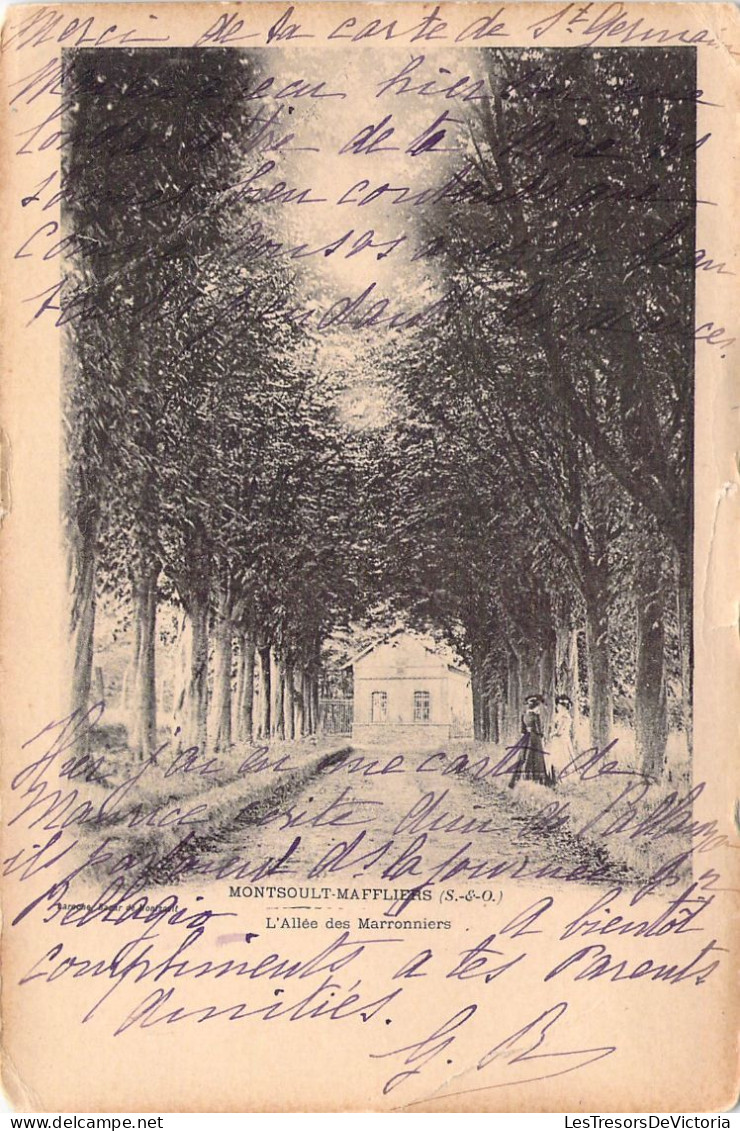 FRANCE - 95 - MONTSOULT - L'Allée Des Marronniers - Carte Postale Ancienne - Montsoult