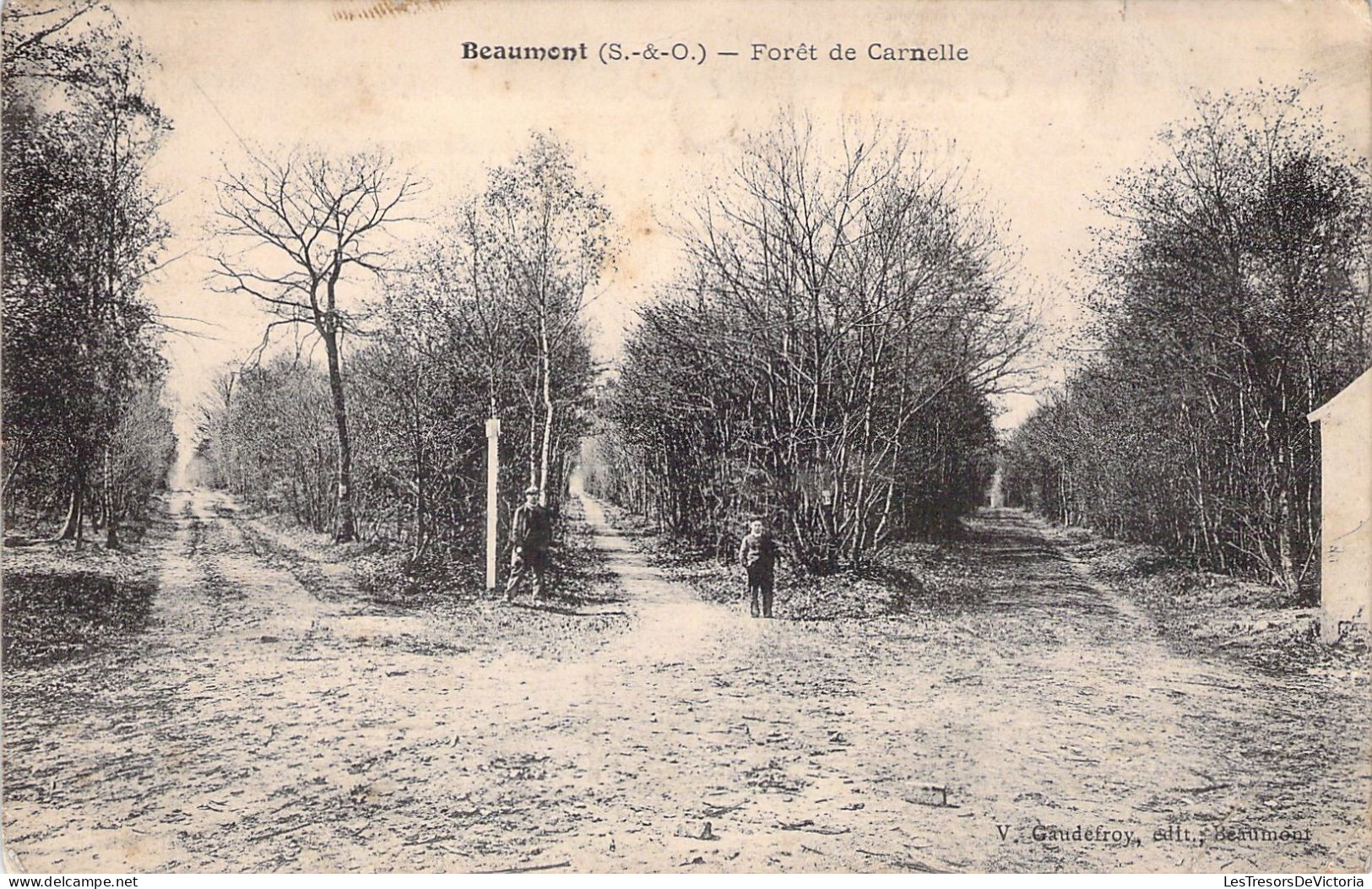 FRANCE - 95 - BEAUMONT SUR OISE - Fôret De Carnelle - Carte Postale Ancienne - Beaumont Sur Oise