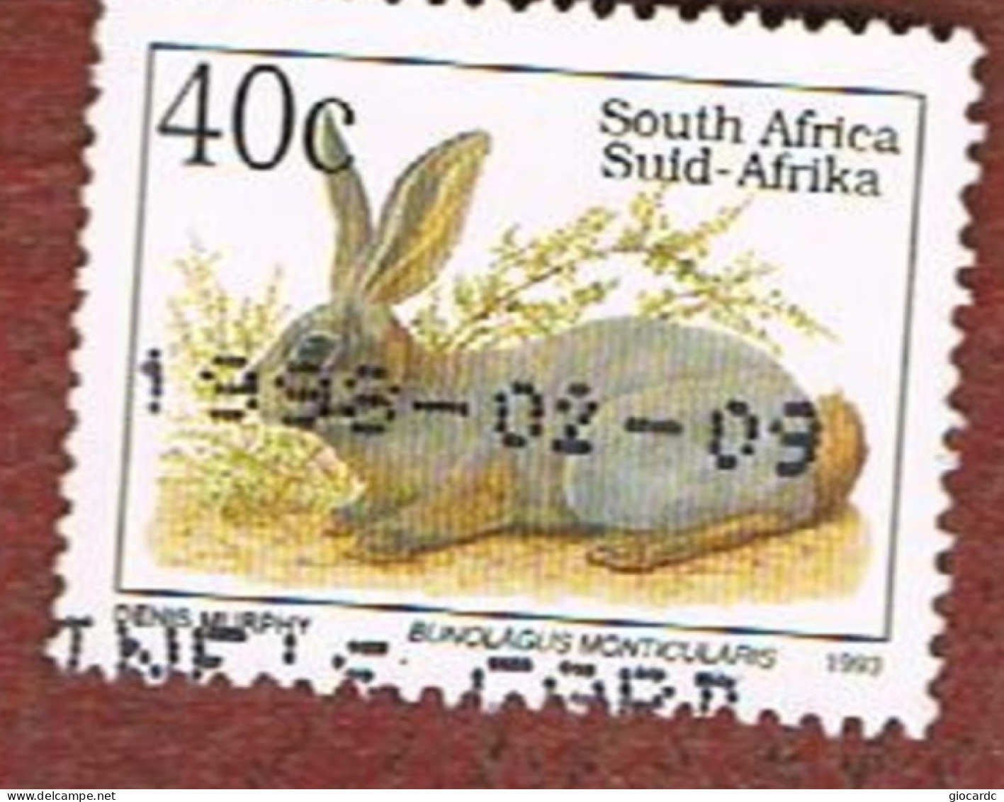 SUD AFRICA (SOUTH AFRICA) - SG 809c - 1993 ENDANGERED ANIMALS: RABBIT    - USED - Gebruikt