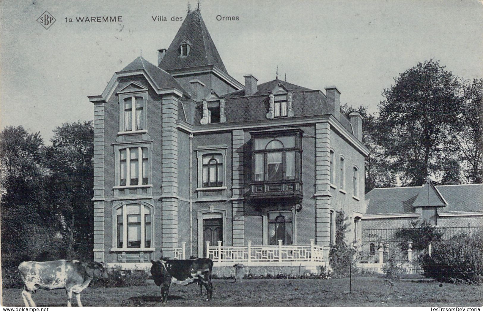 BELGIQUE - WAREMME - Villa Des Ormes - Vaches - Carte Postale Ancienne - Borgworm