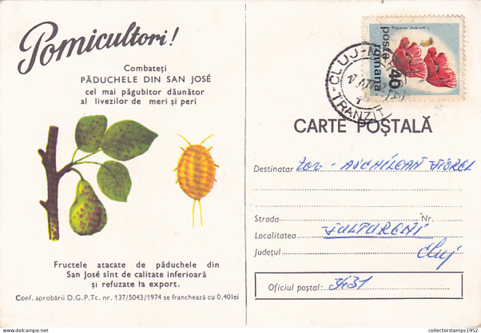 SAN JOSE SCALE, PEAR, PESTS ADVERTISING, AGRICULTURE, SPECIAL POSTCARD, 1977, ROMANIA - Agriculture