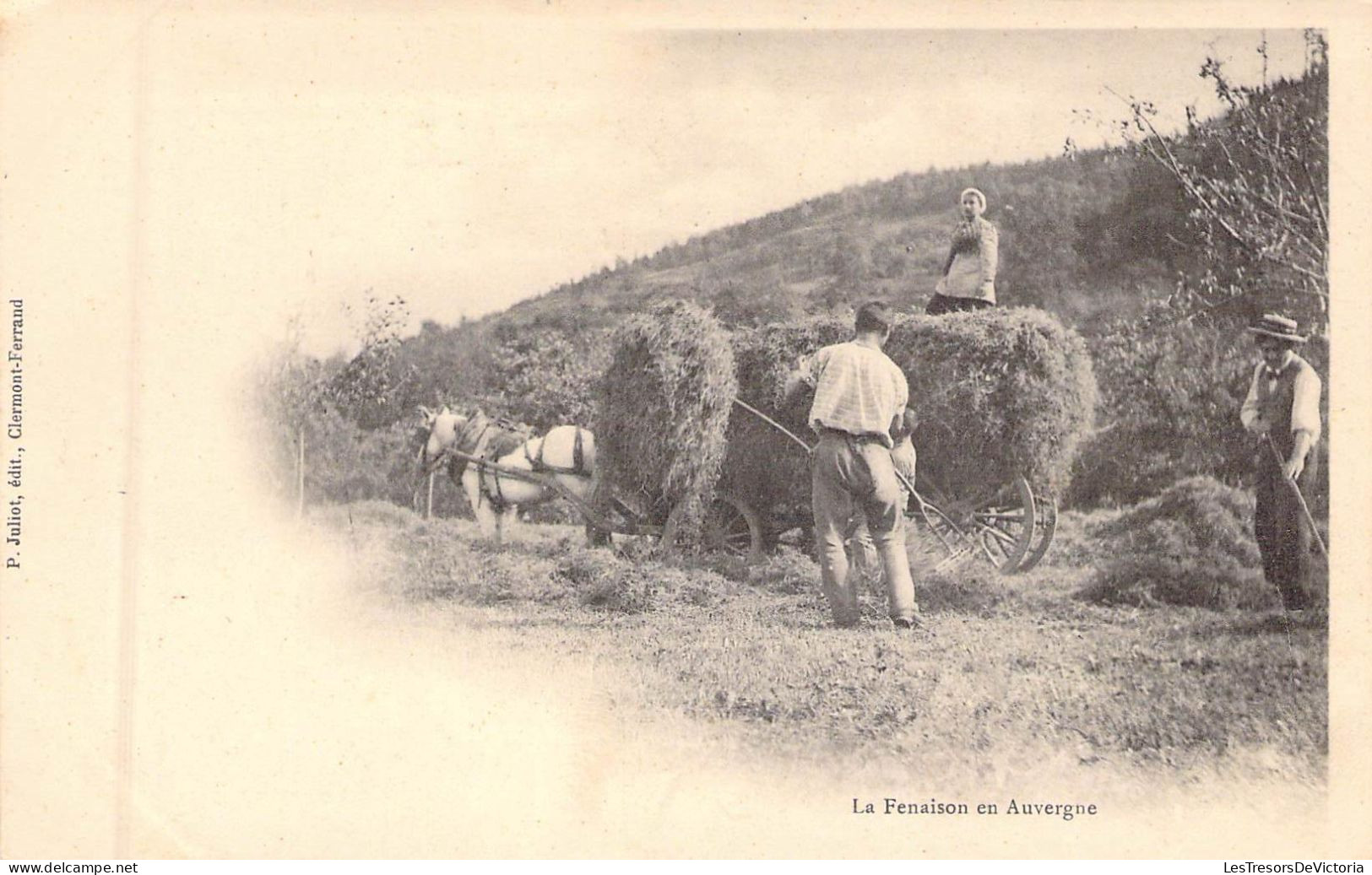 ATTELAGES - La Fenaison En Auvergne - Edit P Juliot - Carte Postale Ancienne - Spannen