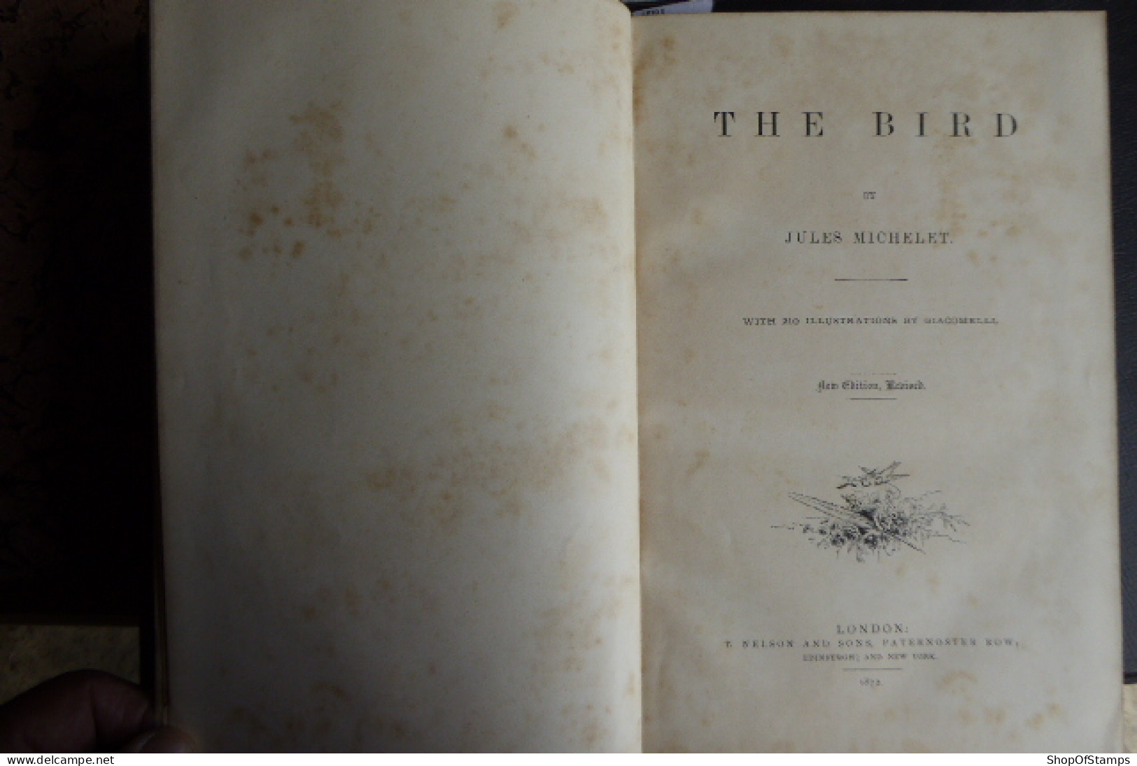 BOOK; THE BIRD By JULES MICHELET Collar BROKEN 1872 With 210 Illustrations By GIACOMELLI 349 Pages - Vita Selvaggia