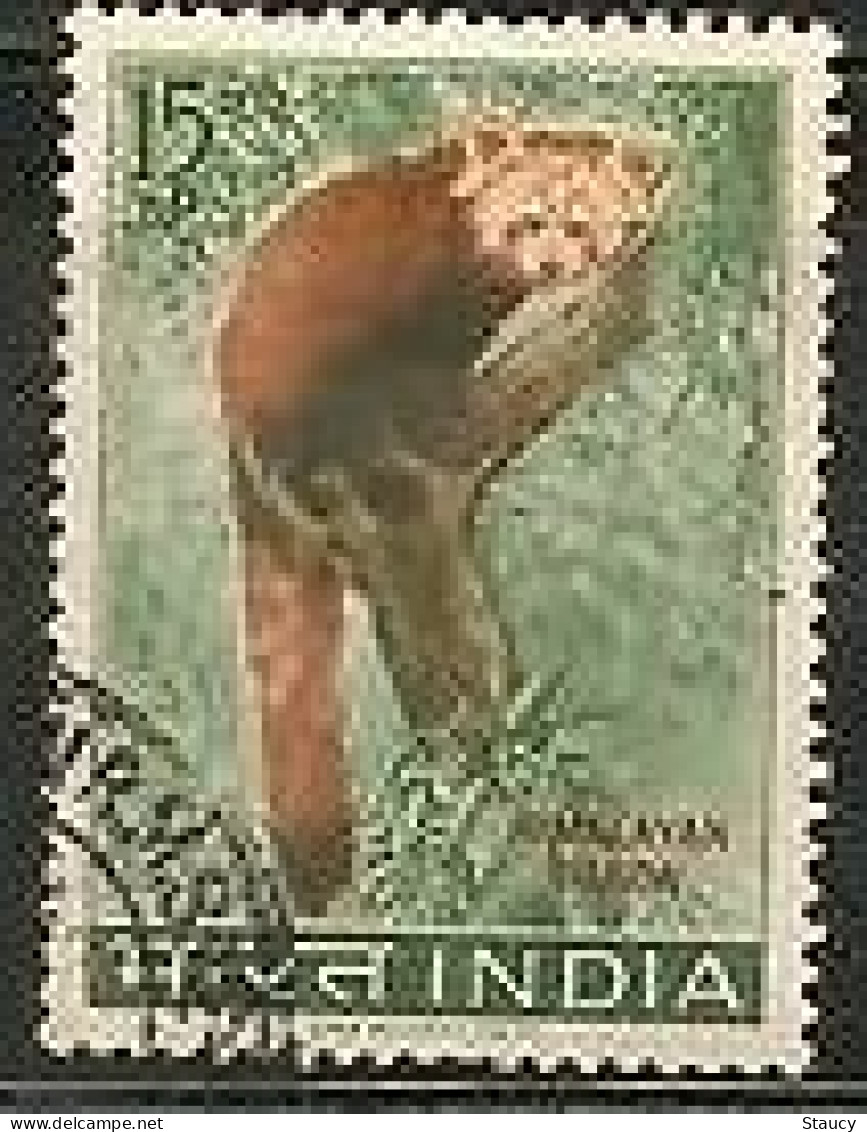 India 1963 ~ Wildlife Preservation - Fauna / Wild Animals 1v Stamp RED PANDA USED (Cancellation Would Differ) - Gebraucht