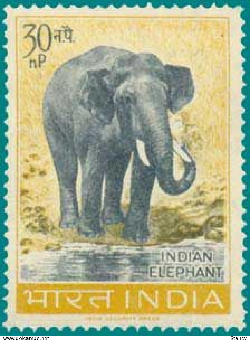 India 1963 ~ Wildlife Preservation - Fauna / Wild Animals 1v Stamp ELEPHANT USED (Cancellation Would Differ) - Gebraucht