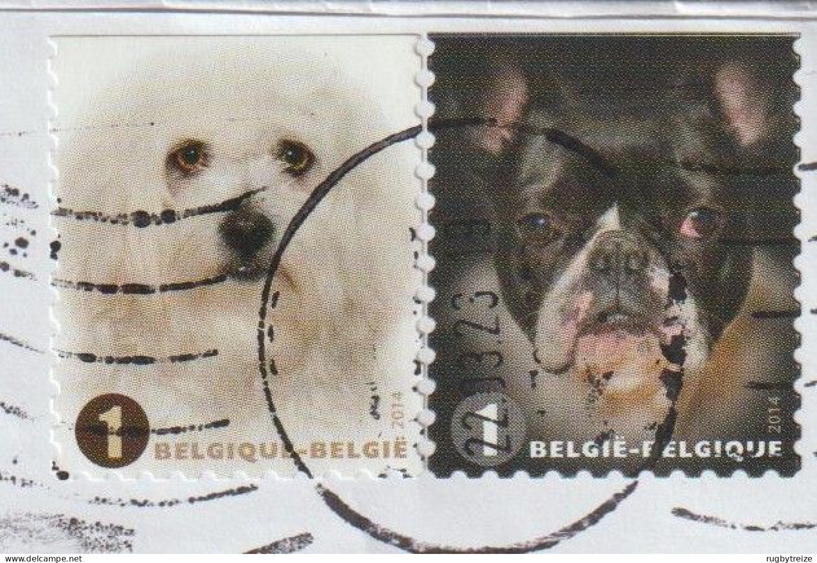 6495 Lettre Cover 2023 BELGIQUE BELGIE 2014 CHIEN DOG BICHON TERRIER DE BOSTON HUND HOND - Briefe U. Dokumente