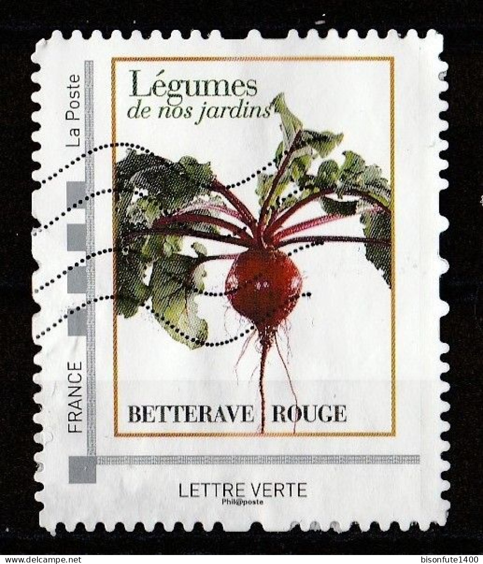 Collector Légumes De Nos Jardins 2019 : Betterave Rouge. - Collectors