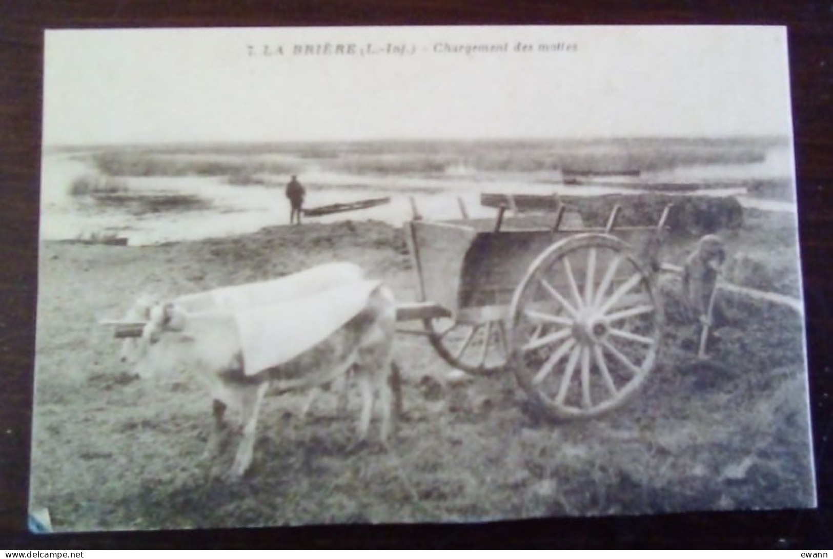 CPA - La Brière - Chargement Des Mottes - Saint-Lyphard