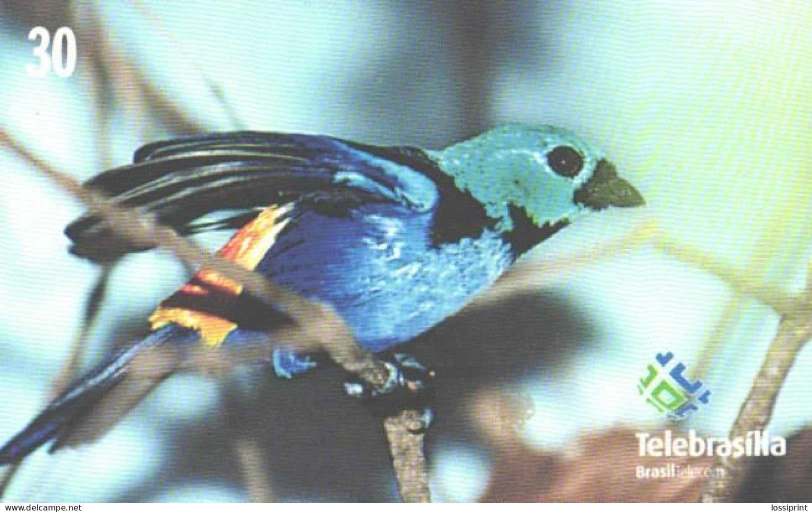 Brazil:Brasil:Used Phonecard, Telebrasilia, 30 Units, Bird, Tangara Seledon - Brasilien