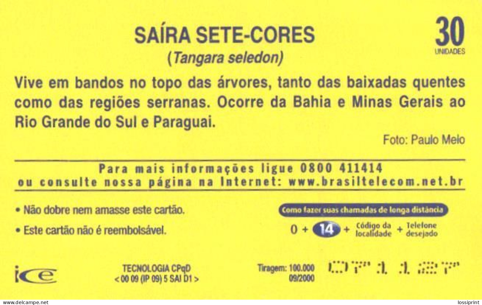 Brazil:Brasil:Used Phonecard, Telebrasilia, 30 Units, Bird, Tangara Seledon - Brasilien