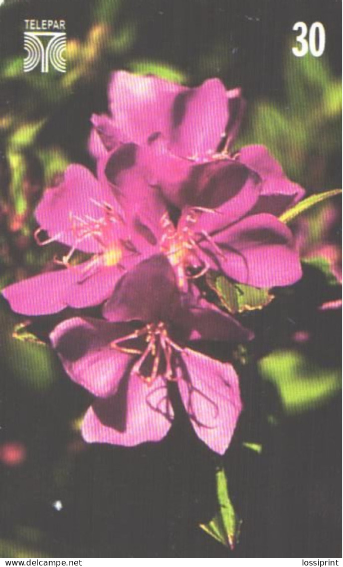 Brazil:Brasil:Used Phonecard, Telepar, 30 Units, Flowers, Tibouchina Pulchra, 2000 - Brasilien