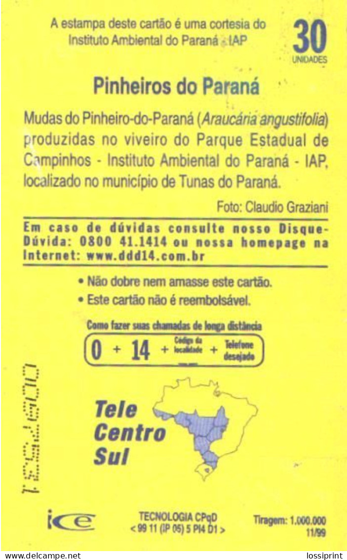 Brazil:Brasil:Used Phonecard, Telepar, 30 Units, Fruit Or Flower, 1999 - Brasilien