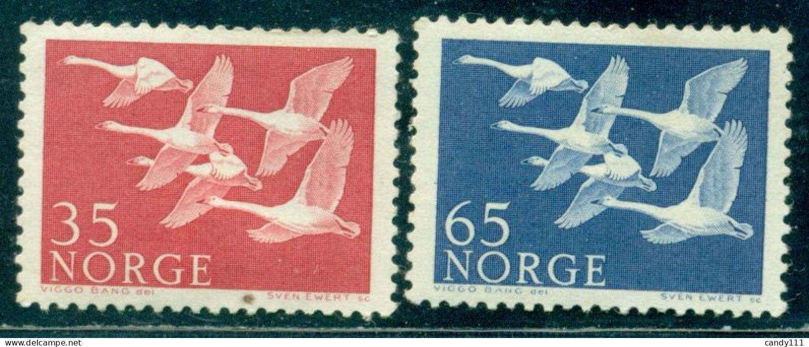 1956 Five Whooper Swans (Cygnus Cygnus),Norway,Mi.436,MLH - Cisnes