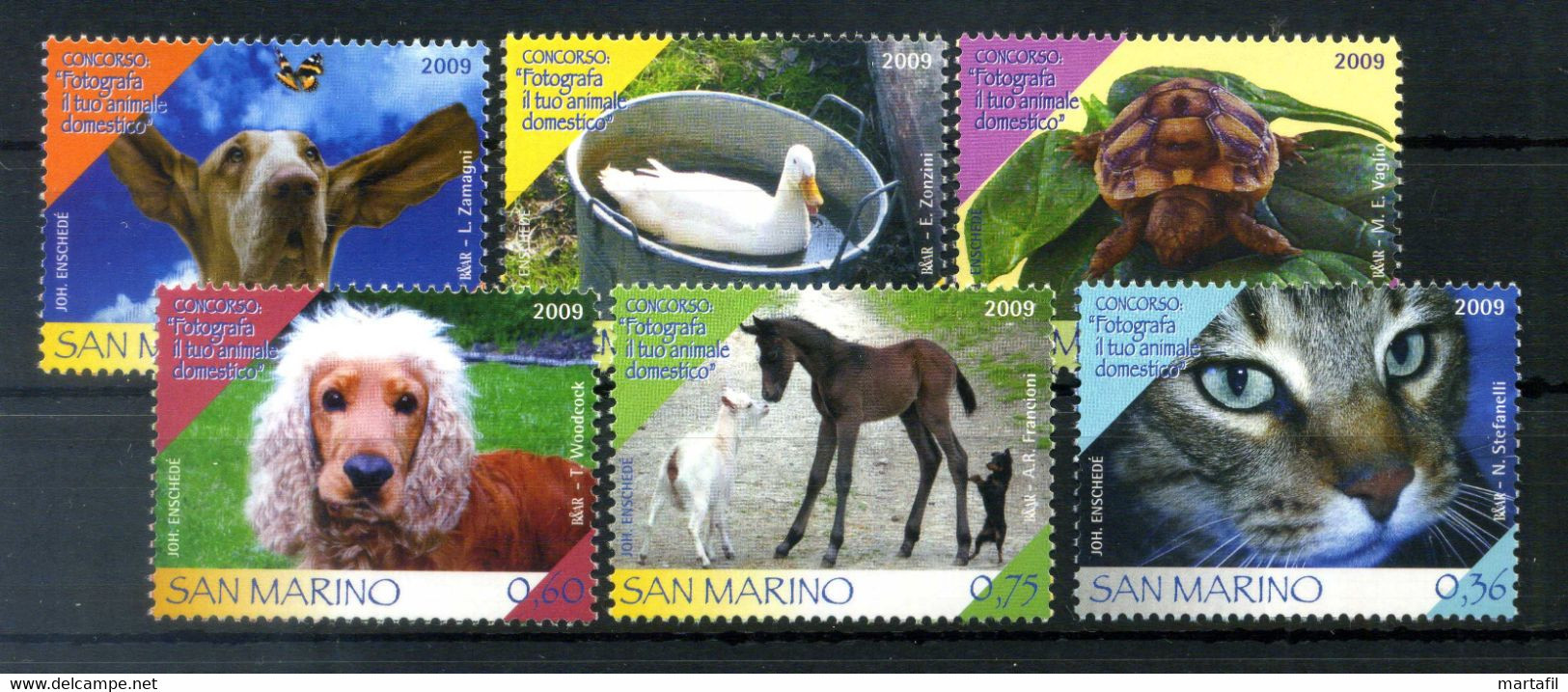 2009 SAN MARINO SET MNH ** 2255/2260 Concorso: Fotografa Il Tuo Animale Domestico, Fauna, Animals, Cat, Cats, Dog, Dogs - Nuevos