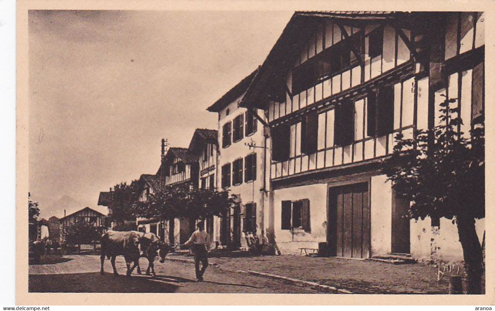 64 -- Pays Basque -- Ainhoa -- La Grande Rue Du Village --- 753 - Ainhoa