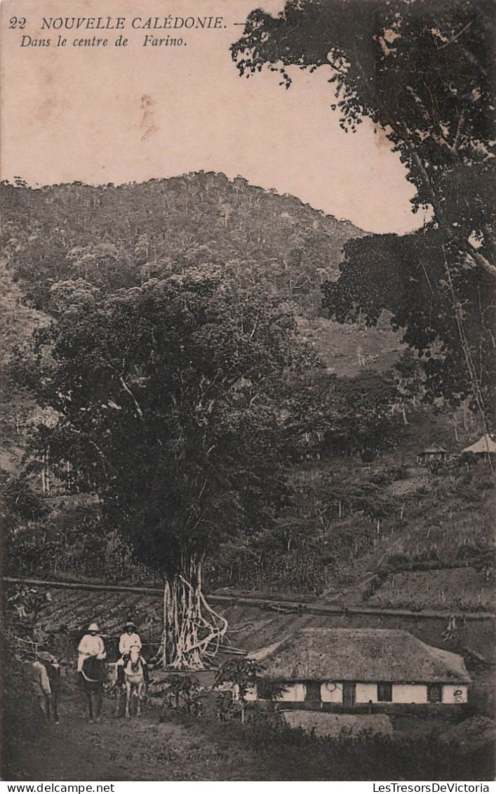 Nouvelle Calédonie - Dans Le Centre De Farino -  Carte Postale Ancienne - Nueva Caledonia