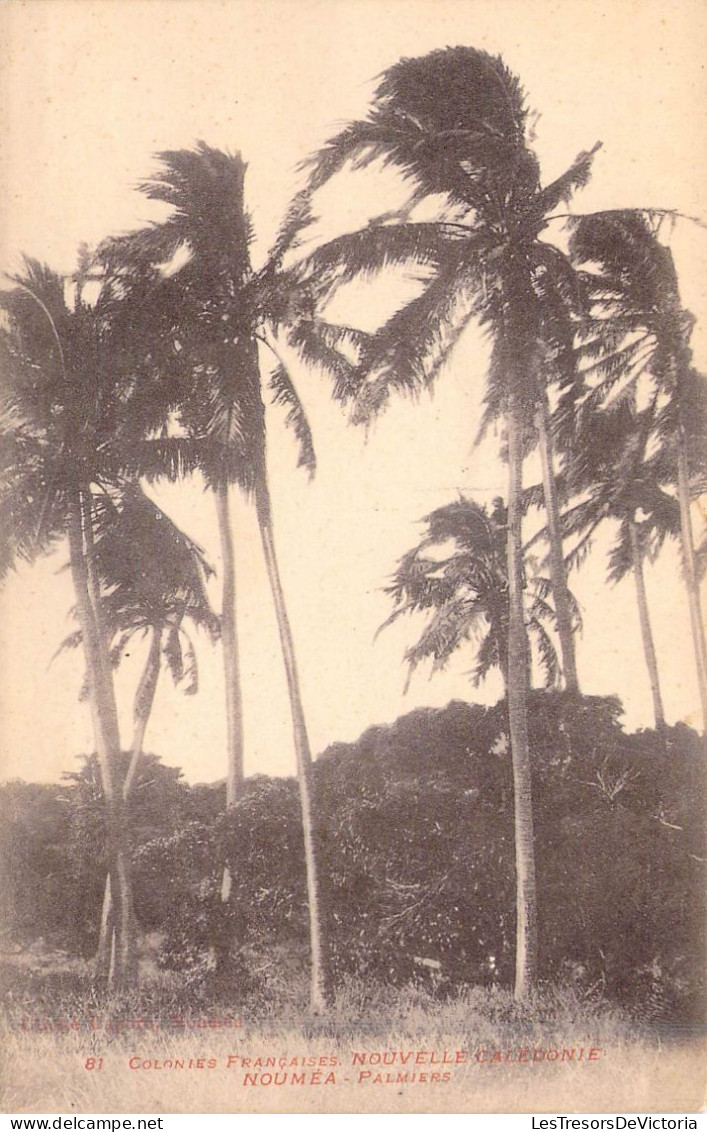 FRANCE - Nouvelle-Calédonie - Nouméa - Palmiers - Carte Postale Ancienne - Nouvelle Calédonie