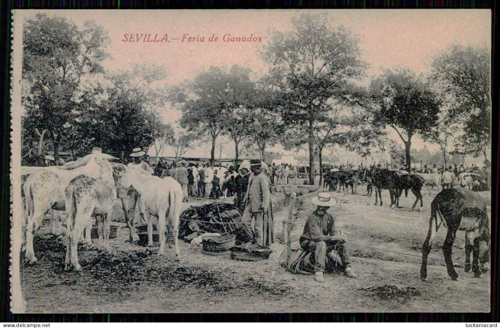 SPAIN - SEVILLA - Feria De Ganados.( Ed.SogeLniola)  Carte Postale - Kirmes