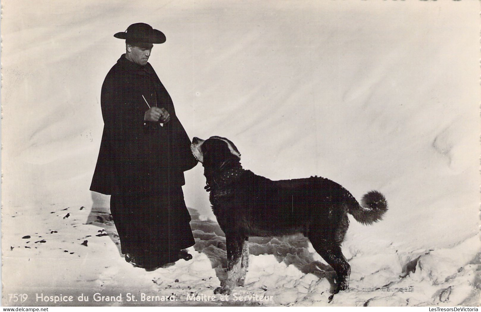 SUISSE - Hospice Du Grand St Bernard - Maitre Et Serviteur - Carte Postale Ancienne - Berne